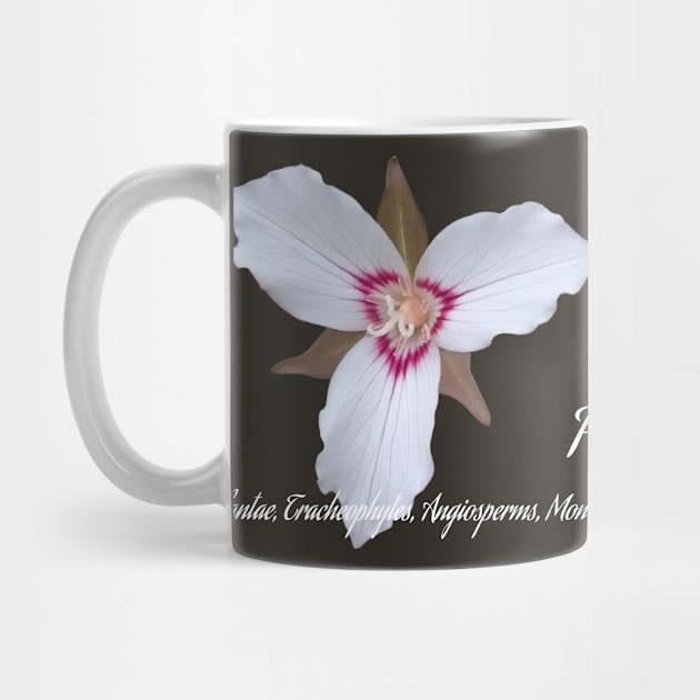 Painted Trillium Mug by Nature Hike